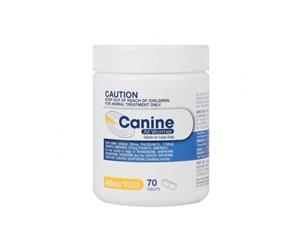 Value Plus Canine All Wormer Dog Puppy 40kg 70's (K6511)