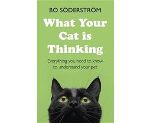 What Your Cat Is Thinking  Everything You Need to Know to Understand Your Pet