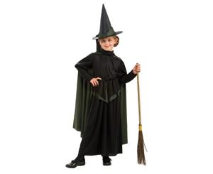 Wicked Witch Adult Costume