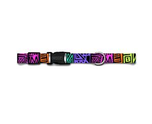 Woof Concept Dog Collar Disco