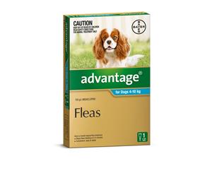 Advantage Dog Fleas Treatment 4-10kg Aqua 1's (B9105)