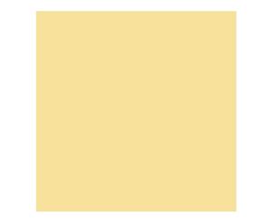 Americana Decor - Outdoor Living Paint - 2oz - Lemonade