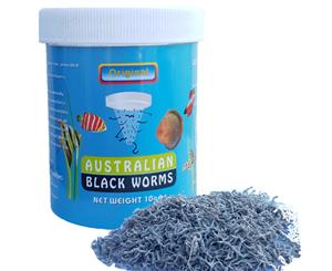 Australian Black Worm Freeze Dried 10g