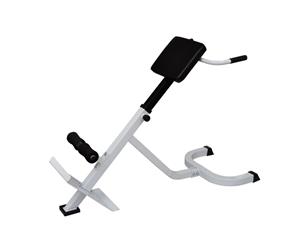 Back Bench Exercise Hyper Extension Trainer Home Gym Fitness Adjustable Folding