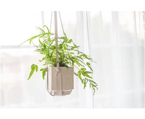 Beige Modern Leather Plant Hanger Pot Plant Holder for Fern Cactus and Succulents