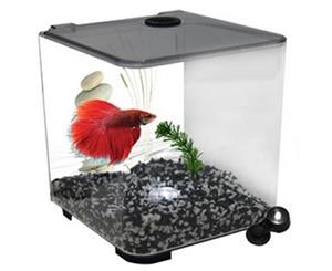 Betta Style Acrylic Fish Tank with LED Light - Charocal - 3 Litres (Aqua One)