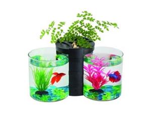 Blue Planet Betta Planter Twin Black 2L