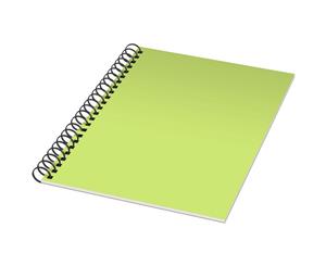 Bullet Rothko A4 Notebook (Frosted Green/Black) - PF2601