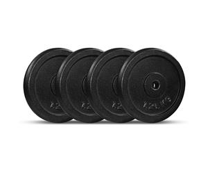 Cortex 1.25kg Cast Iron Plates (4 Pack)