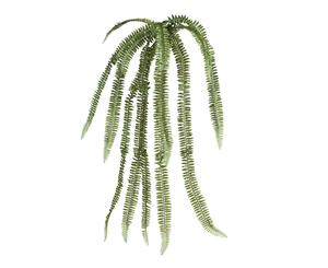 Fern Fish Bone Hanging Bush - 83cm