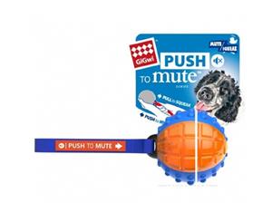 Gigwi Regular Ball Push to Mute Squeaker Blue Orange