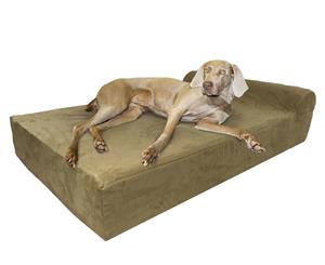 Large Memory Foam Orthopedic Dog Bed with Bolster - Big Paws - Khaki