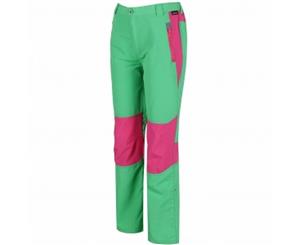 Regatta Great Outdoors Childrens/Kids Sorcer Mountain Iii Trousers (Island Green/Hot Pink) - RG3186