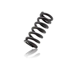 RockShox Coil Spring for Kage/Vivid