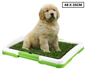 Vikings Puppy Training Pad