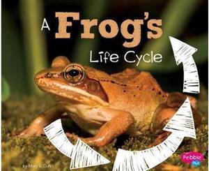 A Frog's Life Cycle