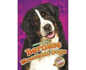 Bernese Mountain Dogs - Hardback