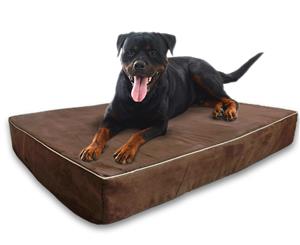 Big Paws Extra Large Orthopedic Dog Bed 15CM Thick Full Memory Foam - Brown