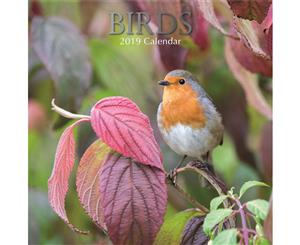 Birds 2019 Premium Square Wall Calendar 16 Months New Year Christmas Decor Gift