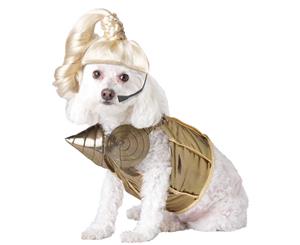 Blonde Ham-bition Madonna 80s Pet Dog Costume