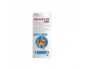 Bravecto Plus for Medium Cats