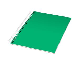 Bullet Rothko A4 Notebook (Green/White) - PF2601