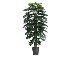 Cooper & Co. Artificial Monstera 180cm Home Decor Faux Plant in Pot Indoor