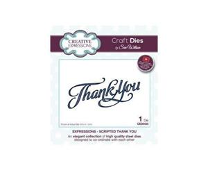 Craft Dies by Sue Wilson - Expressions Collection - Scripted Thank You