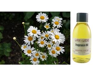 Daisy - Fragrance Oil