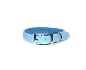 Dogue Plain Jane Leather Dog Collar Blue