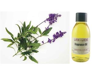 Lemongrass & Sage - Fragrance Oil