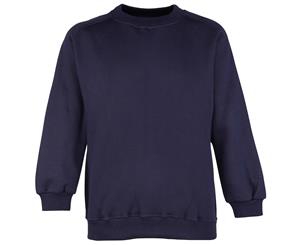 Maddins Childrens Unisex Coloursure Curved Raglan Plain Sweatshirt / Schoolwear (Navy) - RW851