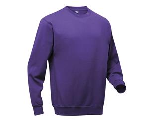 Pro Rtx Mens Pro Sweatshirt (Purple) - RW6174