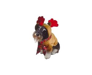 Reindeer Dog Costume with festive scarf hood with red antlers