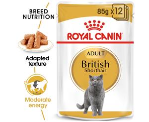 Royal Canin Feline British Shorthair In Gravy Cat Food 12X85g