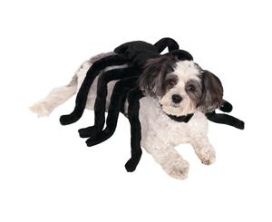 Spider Harness Pet Costume