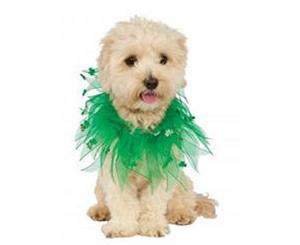 St Pats Day Pet Collar