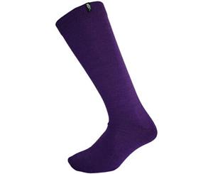 XTM Adult Unisex Socks Merino Profit Sock - Purple