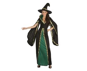 Bristol Novelty Womens Medieval Style Witch Dress And Hat (Black/Green) - BN2208