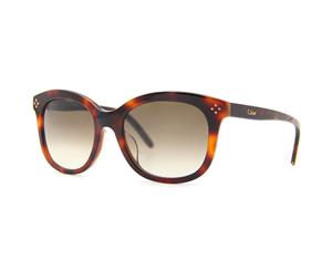 Chloe CE669SA Women Sunglasses