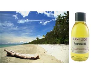 Daintree & Driftwood - Fragrance Oil