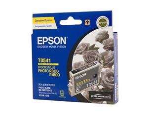 Epson T0541 Photo Black Ink