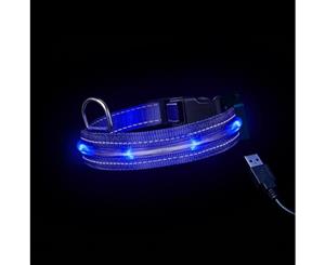 Loomo LED Dog Collar Blue