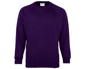 Maddins Mens Coloursure Plain Crew Neck Sweatshirt (Purple) - RW842