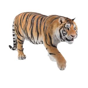 Northcote Pottery 140 x 65cm Bengal Tiger Statue