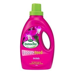 Scotts 1L Osmocote Orchid Concentrate
