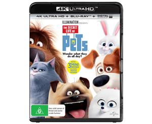 The Secret Life of Pets 4K Ultra HD Blu-ray Digital Download UHD Region B