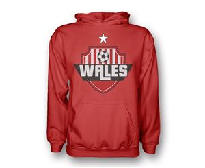 Wales Country Logo Hoody (red)