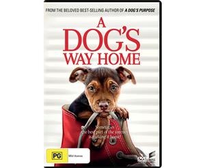 A Dogs Way Home DVD Region 4