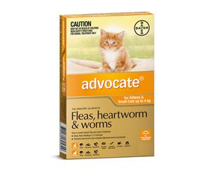 Advocate Small Cat Orange 0-4kg 3 Pack